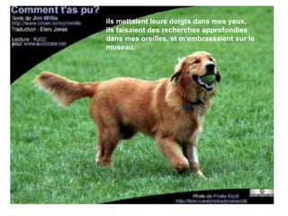 ils mettaient leurs doigts dans mes yeux, ils faisaient des recherches approfondies dans mes oreilles, et m'embrassaient sur le museau. 