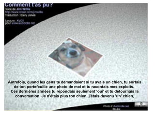 Autrefois, quand les gens te demandaient si tu avais un chien, tu sortais de ton portefeuille une photo de moi et tu racontais mes exploits.  Ces dernières années tu répondais seulement 'oui' et tu détournais la conversation. Je n'étais plus ton chien, j'étais devenu 'un' chien, 