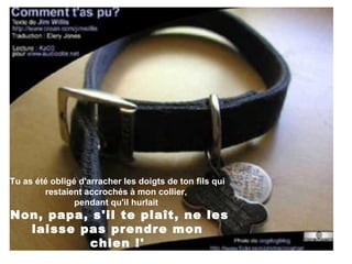 Tu as été obligé d'arracher les doigts de ton fils qui restaient accrochés à mon collier,  pendant qu'il hurlait  'Non, papa, s'il te plaît, ne les laisse pas prendre mon chien !' 