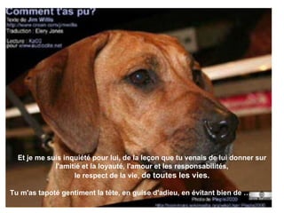 Et je me suis inquiété pour lui, de la leçon que tu venais de lui donner sur l'amitié et la loyauté, l'amour et les responsabilités, le respect de la vie,  de toutes les vies.   Tu m'as tapoté gentiment la tête, en guise d'adieu, en évitant bien de … 