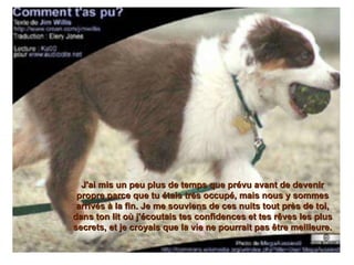 J'ai mis un peu plus de temps que prévu avant de devenir propre parce que tu étais très occupé, mais nous y sommes arrivés à la fin. Je me souviens de ces nuits tout près de toi, dans ton lit où j'écoutais tes confidences et tes rêves les plus secrets, et je croyais que la vie ne pourrait pas être meilleure. 