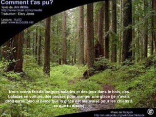 Nous avons fait de longues balades et des jeux dans le bois, des balades en voiture, des pauses pour manger une glace (je n'avais droit qu'au biscuit parce que la glace est mauvaise pour les chiens à ce que tu disais) 