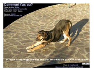 et je faisais de longs sommes au soleil en attendant que tu rentres le soir. 