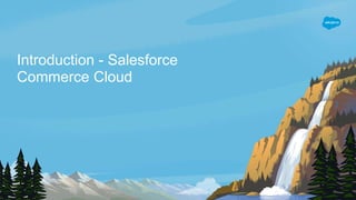 Introduction - Salesforce
Commerce Cloud
 