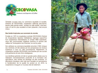 Véritable success story du commerce équitable et durable,
l'histoire de CECOVASA, coopérative caféicole péruvienne,
illustre cette grande vérité : acheter du café certifié, c'est bien,
mais s’il est en plus excellent et bien présenté, c'est encore
mieux.
Des forêts tropicales aux sommets du monde
Fondée en 1970, la coopérative centrale CECOVASA (Central
de Cooperativas Agrarias Cafetaleras) regroupe aujourd’hui
huit coopératives intermédiaires et compte 4864 exploitants,
issus des communautés indigènes quechua et aymara des
vallées de Tambopata et de l'Inambari, au sud du pays.
Son adhésion au commerce équitable remonte à 1993, lorsque
ses membres ont été séduits par les perspectives de revenus
supérieurs à ceux du café conventionnel. Rapidement, la
coopérative centrale CECOVASA s'est illustrée par ses succès
et la pertinence de ses choix stratégiques.
Les bénéfices générés ont été en grande partie utilisés pour la
réalisation d'investissements productifs et la formation des
agriculteurs. Des centres de stockage ont été construits, un
laboratoire d'analyse a été créé pour travailler en permanence
à l'amélioration de la qualité du produit et, en 2010, la
coopérative a inauguré un nouveau site de traitement.
14 Producteur CECOVASA - Crédit : CECOVASA
 