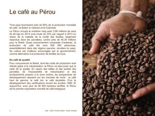 Le café au Pérou
Trois pays fournissent près de 60% de la production mondiale
de café : le Brésil, le Vietnam et la Colombie.
Le Pérou occupe le onzième rang avec 2,88 millions de sacs
de 60 kgs en 2014 (une chute de 33% par rapport à 2013 en
raison de la maladie de la rouille des feuilles, largement
répandue dans les parcelles), contre près de 45,34 millions
pour le Brésil. Quasi exclusivement composée d’arabicas, la
production de café fait vivre 855 000 personnes,
essentiellement dans des régions pauvres, reculées du pays.
Sa culture est d’ailleurs encouragée par le gouvernement,
comme alternative à la production de feuilles de coca.
Du café de qualité
Pour concurrencer le Brésil, dont les coûts de production sont
réduits grâce à la mécanisation, le Pérou ne peut jouer que la
carte de la qualité. En raison des tailles et des pentes des
parcelles, de l’impossibilité de mécanisation et des
enclavements propres à la zone andine, les perspectives de
développement reposent sur les marchés de niche : le café
haut de gamme, le café bio, le café équitable. D’où le
développement des certifications durant les années 1990. Et
aujourd’hui, avec plus de 90 000 hectares certifiés, le Pérou
est le premier exportateur mondial de café biologique.
9 Café - Crédit Timothy Herbert / Oxfam Australie
 