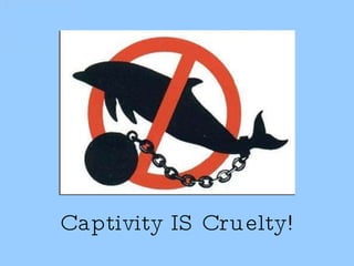 Captivity IS Cruelty! 