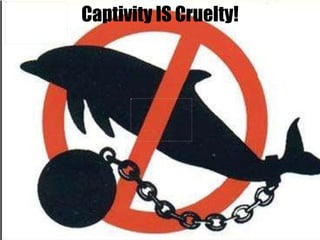 Captivity IS Cruelty! 