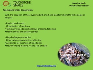 Breeding Snails 
“New Business activity” 
With the adoption of these systems both short and long term benefits will emerge as follows: 
• Production Process 
• Organization of seminars 
• Technically, bloodstock handling, breeding, fattening 
• Health checks and quality control 
• Help finding consumables 
• Dried rations reproduction, fattening 
• Assistance for purchase of bloodstock 
• Help in finding markets for the sale of snails 
Touchstone Snails Cooperation 
http://snailbreeding.net/  