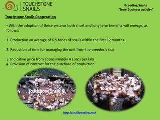 Breeding Snails “New Business activity” 
• With the adoption of these systems both short and long term benefits will emerge, as follows: 1. Production an average of 6.5 tones of snails within the first 12 months. 2. Reduction of time for managing the unit from the breeder’s side 3. Indicative price from approximately 4 Euros per kilo 4. Provision of contract for the purchase of production 
Touchstone Snails Cooperation 
http://snailbreeding.net/  