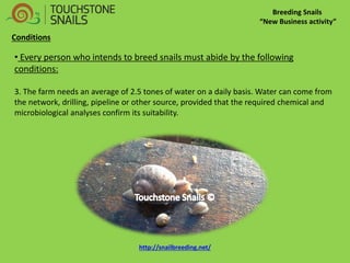 Breeding Snails “New Business activity” 
• Every person who intends to breed snails must abide by the following conditions: 3. The farm needs an average of 2.5 tones of water on a daily basis. Water can come from the network, drilling, pipeline or other source, provided that the required chemical and microbiological analyses confirm its suitability. 
Conditions 
http://snailbreeding.net/  