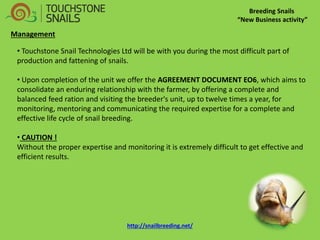 • Touchstone Snail Technologies Ltd will be with you during the most difficult part of production and fattening of snails. 
• Upon completion of the unit we offer the AGREEMENT DOCUMENT EO6, which aims to consolidate an enduring relationship with the farmer, by offering a complete and balanced feed ration and visiting the breeder's unit, up to twelve times a year, for monitoring, mentoring and communicating the required expertise for a complete and effective life cycle of snail breeding. 
• CAUTION ! Without the proper expertise and monitoring it is extremely difficult to get effective and efficient results. 
Breeding Snails “New Business activity” 
Management 
http://snailbreeding.net/  