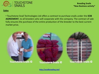 Breeding Snails “New Business activity” Sales 
• Touchstone Snail Technologies Ltd offers a contract to purchase snails under the EO8 AGREEMENT, to all breeders who will cooperate with the company. The contract of sale fully ensures the purchase of the entire production of the breeder to the best current market price. 
http://snailbreeding.net/  
