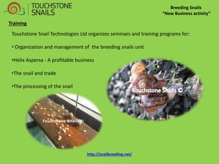 Breeding Snails “New Business activity” 
Training 
Touchstone Snail Technologies Ltd organizes seminars and training programs for: 
• Organization and management of the breeding snails unit 
•Helix Aspersa - A profitable business 
•The snail and trade 
•The processing of the snail http://snailbreeding.net/  