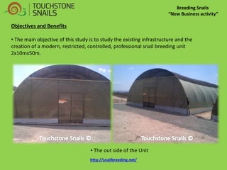 Breeding Snails 
“New Business activity” 
Objectives and Benefits 
• The main objective of this study is to study the existing infrastructure and the creation of a modern, restricted, controlled, professional snail breeding unit 2x10mx50m. 
• The out side of the Unit 
http://snailbreeding.net/  