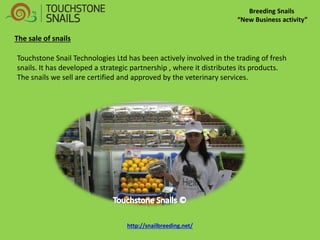 Breeding Snails “New Business activity” Touchstone Snail Technologies Ltd has been actively involved in the trading of fresh snails. It has developed a strategic partnership , where it distributes its products. The snails we sell are certified and approved by the veterinary services. 
The sale of snails http://snailbreeding.net/  