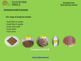 Breeding Snails “New Business activity” Touchstone Snails Processing Our range of products include: 
• Snail fillet A' quality 
• Snail fillet B' quality 
• Snails with shell 
• Snail shells 
• Snail slime http://snailbreeding.net/  