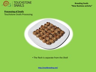 Breeding Snails 
“New Business activity” 
Processing of Snails Touchstone Snails Processing 
• The flesh is separate from the Shell http://snailbreeding.net/  