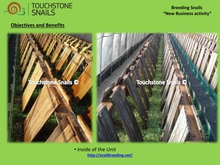 Breeding Snails 
“New Business activity” 
Objectives and Benefits 
• Inside of the Unit 
http://snailbreeding.net/  