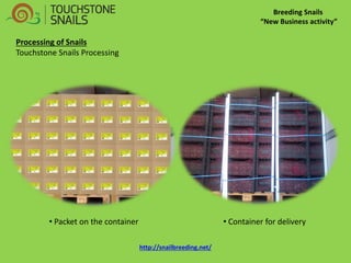 Breeding Snails “New Business activity” Processing of Snails Touchstone Snails Processing 
• Packet on the container 
• Container for delivery http://snailbreeding.net/  