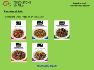 Breeding Snails “New Business activity” Processing of Snails Touchstone Snails Products on the Market http://snailbreeding.net/  