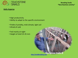 Breeding Snails “New Business activity” Helix Aspersa 
• High productivity 
• Ability to adapt to the specific environment 
• Prefers humidity, mild climate, light soil 
• Afraid of cold 
• Fed mainly at night 
• Height of shell 25-35 mm http://snailbreeding.net/  