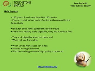 Breeding Snails “New Business activity” Helix Aspersa 
• 100 grams of snail meat have 60 to 80 calories 
• Proteins contained are made of amino acids required by the human body 
• It has ten times fewer bacteria than other meats 
• Snails are a healthy, easily digestible, tasty and nutritious food 
• They are indigestible when not clean, and 
• When not free from saliva 
• When served with sauces rich in fats 
• Allowed in weight loss diets 
• With the snail eggs caviar of high quality is produced http://snailbreeding.net/  