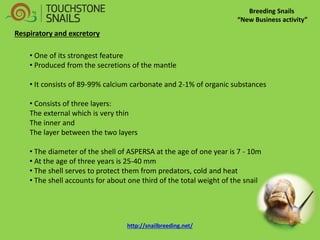 Breeding Snails “New Business activity” Respiratory and excretory 
• One of its strongest feature 
• Produced from the secretions of the mantle 
• It consists of 89-99% calcium carbonate and 2-1% of organic substances 
• Consists of three layers: The external which is very thin The inner and The layer between the two layers 
• The diameter of the shell of ASPERSA at the age of one year is 7 - 10m 
• At the age of three years is 25-40 mm 
• The shell serves to protect them from predators, cold and heat 
• The shell accounts for about one third of the total weight of the snail http://snailbreeding.net/  