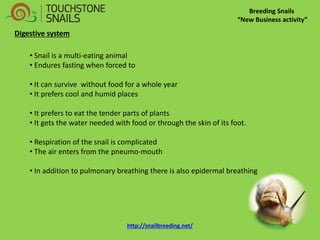 Breeding Snails “New Business activity” Digestive system 
• Snail is a multi-eating animal 
• Endures fasting when forced to 
• It can survive without food for a whole year 
• It prefers cool and humid places 
• It prefers to eat the tender parts of plants 
• It gets the water needed with food or through the skin of its foot. 
• Respiration of the snail is complicated 
• The air enters from the pneumo-mouth 
• In addition to pulmonary breathing there is also epidermal breathing http://snailbreeding.net/  