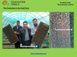 Breeding Snails “New Business activity” 
The Production in the Snail Farm 
http://snailbreeding.net/  