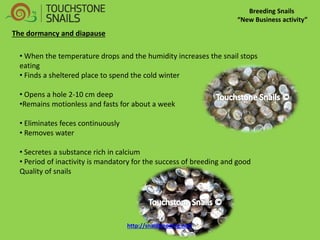 Breeding Snails “New Business activity” The dormancy and diapause 
• When the temperature drops and the humidity increases the snail stops eating 
• Finds a sheltered place to spend the cold winter 
• Opens a hole 2-10 cm deep 
•Remains motionless and fasts for about a week 
• Eliminates feces continuously 
• Removes water 
• Secretes a substance rich in calcium 
• Period of inactivity is mandatory for the success of breeding and good Quality of snails http://snailbreeding.net/  