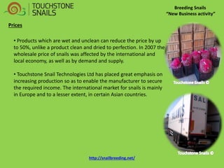 Breeding Snails “New Business activity” Prices 
• Products which are wet and unclean can reduce the price by up to 50%, unlike a product clean and dried to perfection. In 2007 the wholesale price of snails was affected by the international and local economy, as well as by demand and supply. 
• Touchstone Snail Technologies Ltd has placed great emphasis on increasing production so as to enable the manufacturer to secure the required income. The international market for snails is mainly in Europe and to a lesser extent, in certain Asian countries. http://snailbreeding.net/  