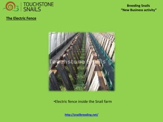 Breeding Snails “New Business activity” The Electric Fence 
•Electric fence inside the Snail farm http://snailbreeding.net/  