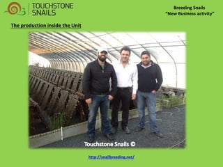 Breeding Snails “New Business activity” 
The production inside the Unit 
http://snailbreeding.net/  