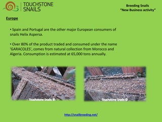 Breeding Snails “New Business activity” Europe 
• Spain and Portugal are the other major European consumers of snails Helix Aspersa. 
• Over 80% of the product traded and consumed under the name 'GARACOLES', comes from natural collection from Morocco and Algeria. Consumption is estimated at 65,000 tons annually. http://snailbreeding.net/  