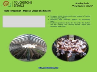 Breeding Snails “New Business activity” Table comparison - Open vs Closed Snails Farms http://snailbreeding.net/  