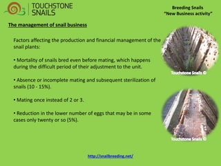 Breeding Snails “New Business activity” The management of snail business Factors affecting the production and financial management of the snail plants: 
• Mortality of snails bred even before mating, which happens during the difficult period of their adjustment to the unit. 
• Absence or incomplete mating and subsequent sterilization of snails (10 - 15%). 
• Mating once instead of 2 or 3. 
• Reduction in the lower number of eggs that may be in some cases only twenty or so (5%). http://snailbreeding.net/  