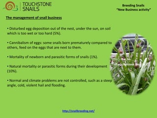 Breeding Snails “New Business activity” The management of snail business 
• Disturbed egg deposition out of the nest, under the sun, on soil which is too wet or too hard (5%). 
• Cannibalism of eggs: some snails born prematurely compared to others, feed on the eggs that are next to them. 
• Mortality of newborn and parasitic forms of snails (1%). 
• Natural mortality or parasitic forms during their development (10%). 
• Normal and climate problems are not controlled, such as a steep angle, cold, violent hail and flooding. http://snailbreeding.net/  