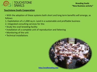 Breeding Snails 
“New Business activity” 
Touchstone Snails Cooperation 
• With the adoption of these systems both short and long term benefits will emerge, as follows: 1. Exploitation of a 1,000 sq.m. Land in a sustainable and profitable business 2. Integrated consulting services for the: 
• Study the snail breeding facility 
• Installation of a complete unit of reproduction and fattening 
• Monitoring of the unit 
• Technical installations http://snailbreeding.net/  