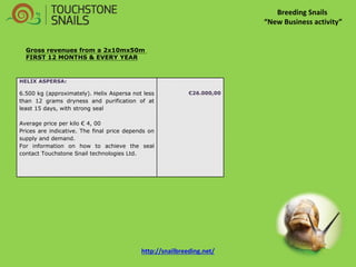 Breeding Snails “New Business activity” 
HELIX ASPERSA: 
6.500 kg (approximately). Helix Aspersa not less than 12 grams dryness and purification of at least 15 days, with strong seal 
Average price per kilo € 4, 00 
Prices are indicative. The final price depends on supply and demand. 
For information on how to achieve the seal contact Touchstone Snail technologies Ltd. 
€26.000,00 
Gross revenues from a 2x10mx50m 
FIRST 12 MONTHS & EVERY YEAR 
http://snailbreeding.net/  