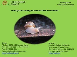 Breeding Snails “New Business activity” 
Cyprus P.O. Box: 40376, 6303 Larnaca, Cyprus Tel: +357 7000 3200, +357 24 662 700 Fax: +357 24 661 821 E-mail: info@touchstonesnail.com http://snailbreeding.net 
Lebanon 
Loueizeh, Baabda - Bejjani Str. 
Zeina bld, 2nd floor, Lebanon 
Tel. +961 33 101 09, +961 38 235 80 
Fax: +357 24 661 821E-mail: http://snails.ae/ 
Thank you for reading Touchstone Snails Presentation 