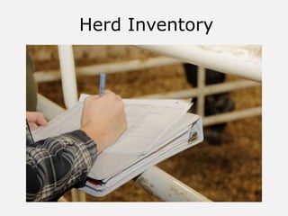 Herd Inventory
 