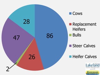 Cows
Replacement
Heifers
Bulls
Steer Calves
Heifer Calves
47
28
26
2
86
 