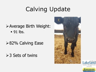 Calving Update
Average Birth Weight:
 91 lbs.
82% Calving Ease
3 Sets of twins
 