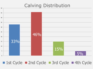 0
5
10
15
20
25
30
35
40
45
50
Calving Distribution
1st Cycle 2nd Cycle 3rd Cycle 4th Cycle
33%
46%
15%
5%
 