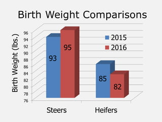 Birth Weight Comparisons
76
78
80
82
84
86
88
90
92
94
96
Steers Heifers
2015
2016
BirthWeight(lbs.)
95
85
82
93
 