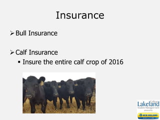 Insurance
Bull Insurance
Calf Insurance
 Insure the entire calf crop of 2016
 