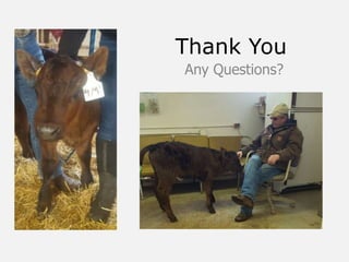 Thank You
Any Questions?
 