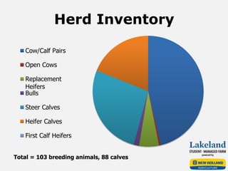 Herd Inventory
Total = 103 breeding animals, 88 calves
Cow/Calf Pairs
Open Cows
Replacement
Heifers
Bulls
Steer Calves
Heifer Calves
First Calf Heifers
 