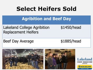 Select Heifers Sold
Agribition and Beef Day
Lakeland College Agribition
Replacement Heifers
$1450/head
Beef Day Average $1885/head
 